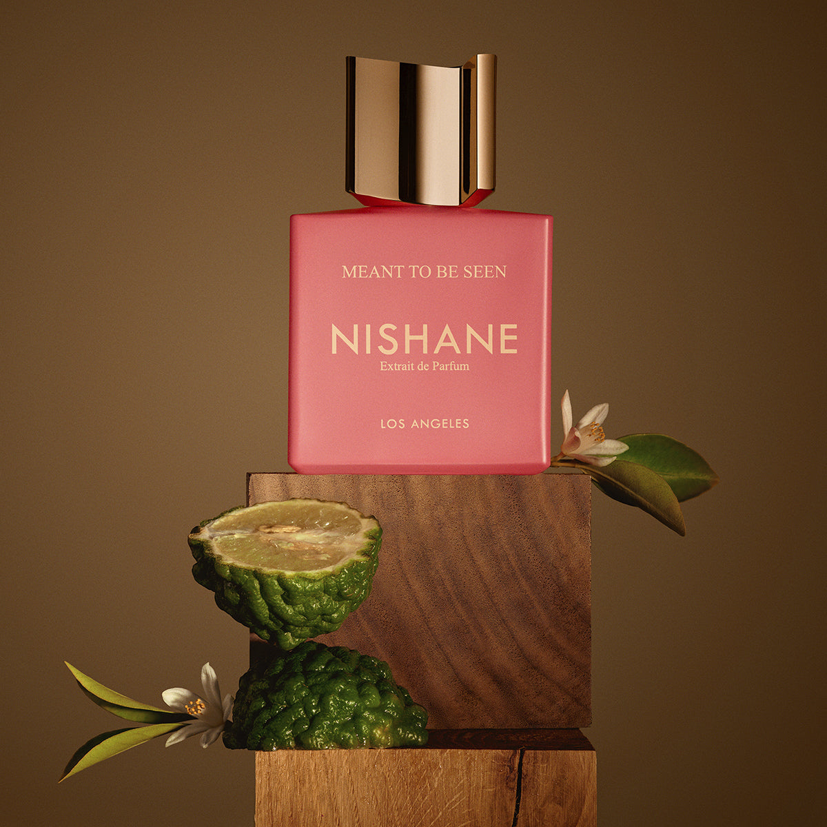 Mean To Be Seen | Parfum | 100 ML | Preventa