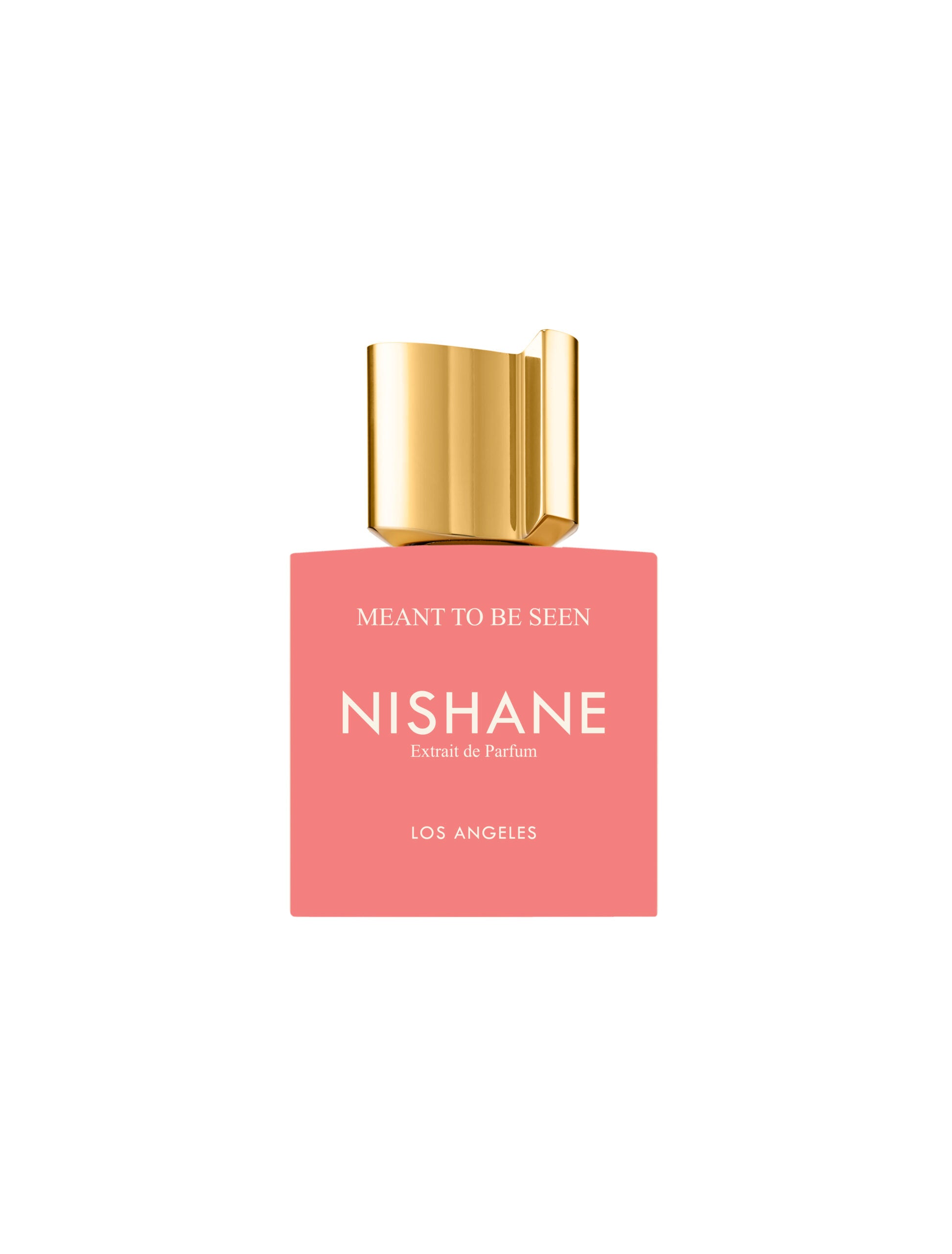 Mean To Be Seen | Parfum | 100 ML | Preventa