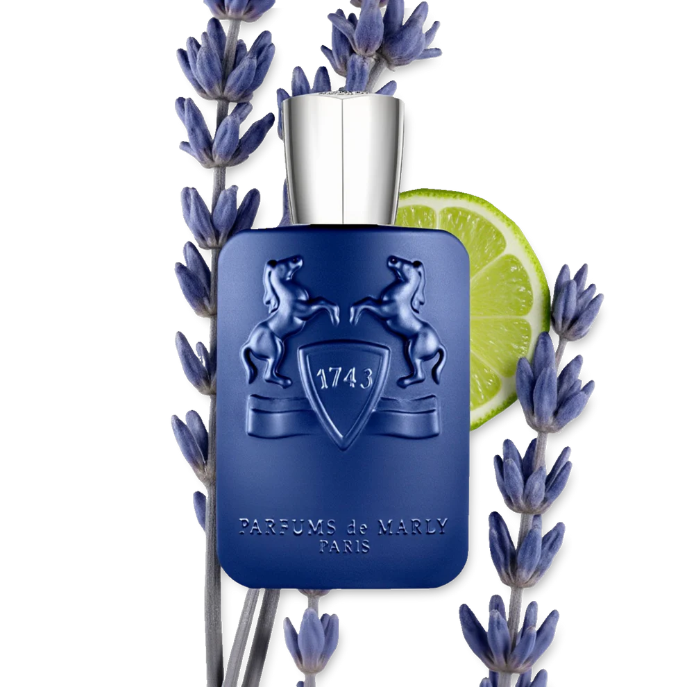 Percival | EDP | 125 ML | Preventa