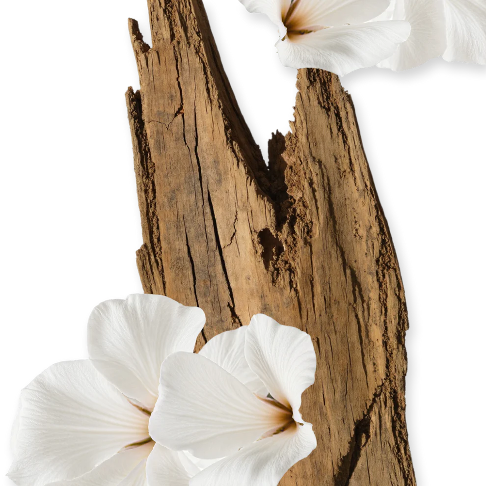 Valaya | EDP | 75 ML | Preventa